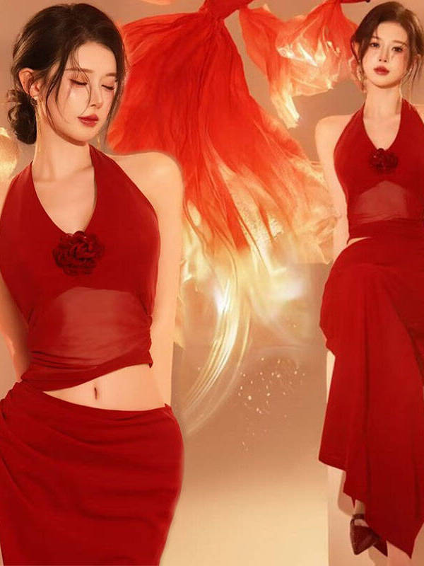 빨간색 새해 사진 촬영 의상, 코이 테마 사진 촬영,  - Photography Lighting For Clothing 리뷰 및 가격