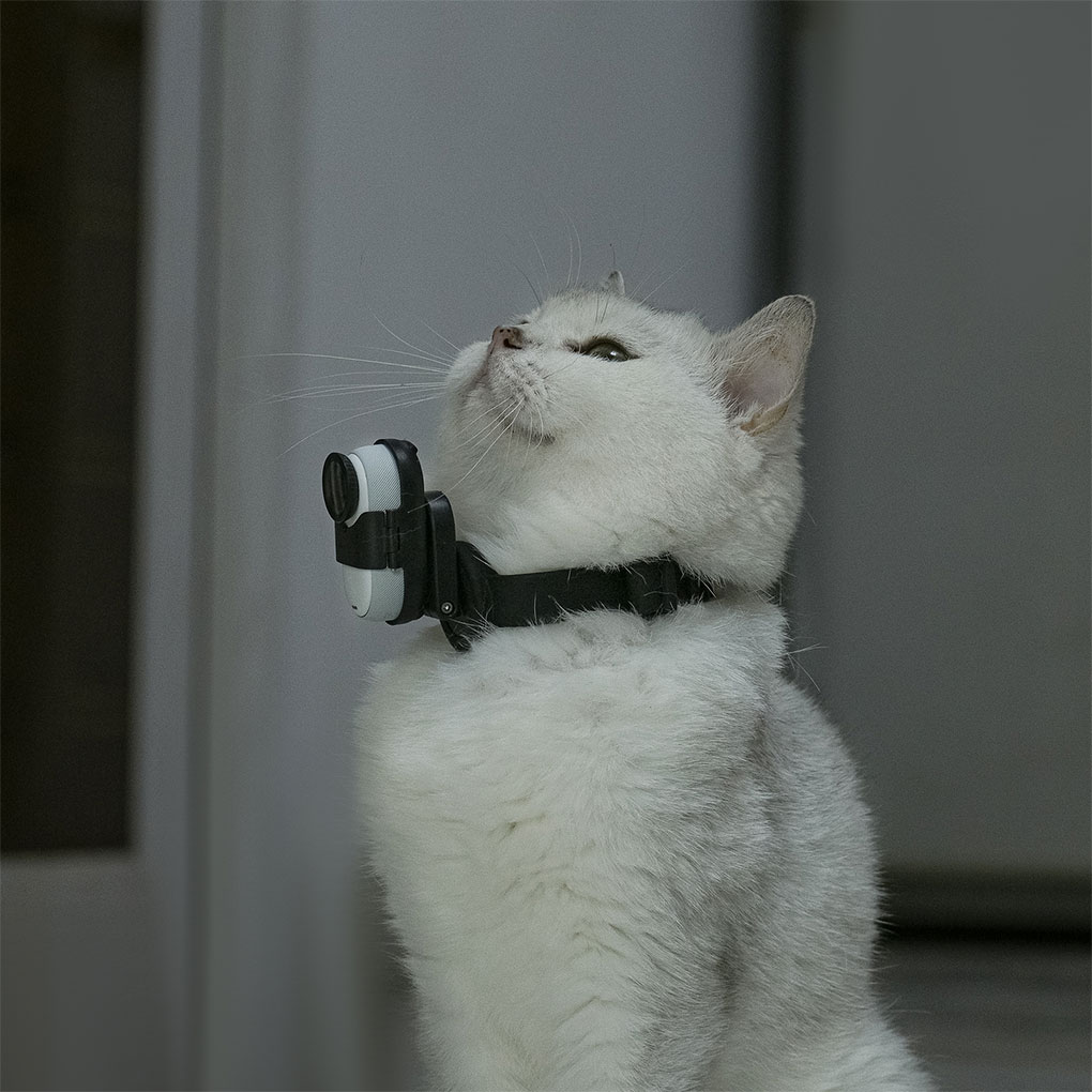 Go 3S 마그네틱 베이스 스탠드 각도 조절 가능 접이 - Insta360 Camera Go 3 리뷰 및 가격
