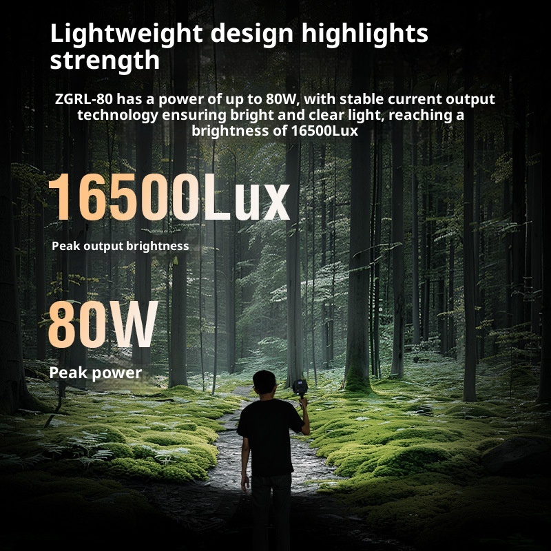ZGRL80 80W COB LED 비디오 라이트 휴대용 - Photography Lighting Continuous 리뷰 및 가격