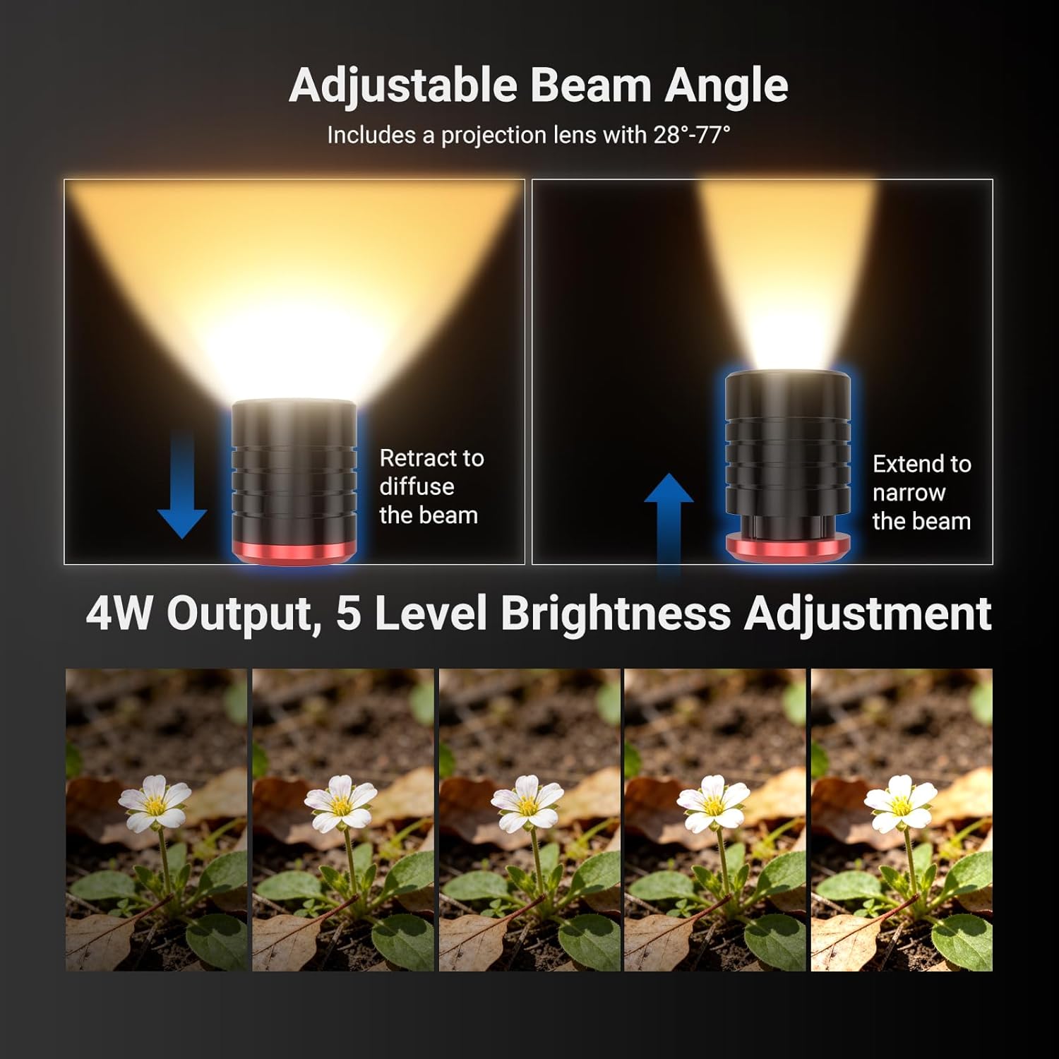 NEEWER BASICS 2팩 ML01 USB C LE - Photography Lighting Basics 리뷰 및 가격